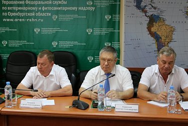 На публичных слушаниях – об исполнении законов